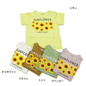 半袖Tシャツ Sunflower 子供服 女の子 ニードルワークス NEEDLE WORKS 100cm 110cm 120cm 130cm メール便OK NS46｜akitaoutlet