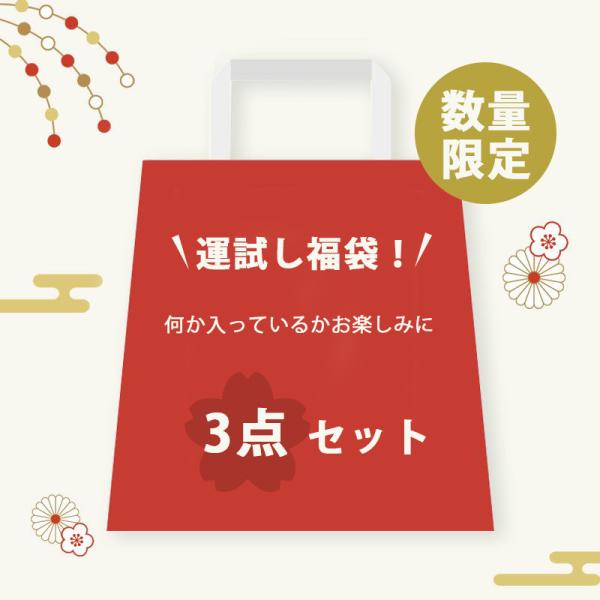 福袋 2024年 闇福袋 50人限定 超お得セット 厳選商品3点入り iphoneケーブル モバイル...