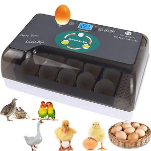 自動孵卵器 インキュベーター 鳥類専用ふ卵器 鶏