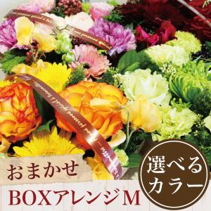 父の日 2024 ギフト 花 花キューピット 非加盟店 花束 開店祝い お花 フラワーアレンジ ボックスアレンジM 誕生日 お祝い  生花 退職祝い 発表会