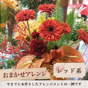 花 花キューピット 非加盟店 花束 開店祝い ...の詳細画像2
