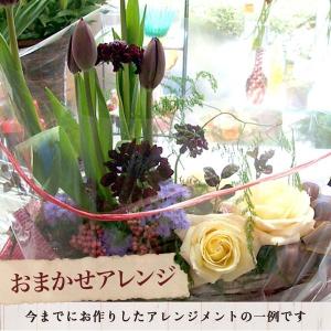 花 花キューピット 非加盟店 花束 開店祝い ...の詳細画像4