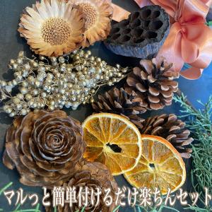 ドライフラワー 花材 即日出荷 簡単手つくり実...の詳細画像1