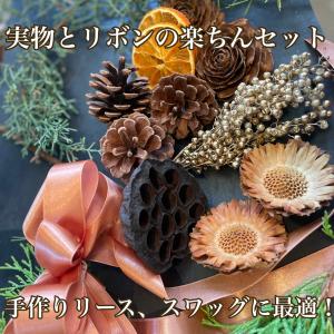 ドライフラワー 花材 即日出荷 簡単手つくり実...の詳細画像2