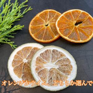 ドライフラワー 花材 即日出荷 簡単手つくり実...の詳細画像5