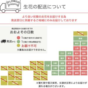 父の日 花 プロポーズ 花キューピット 非加盟...の詳細画像4