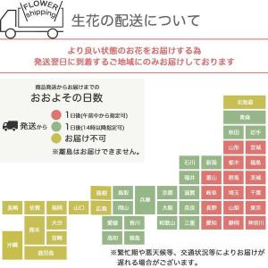 花 花キューピット 非加盟店 花束 開店祝い ...の詳細画像4