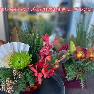しめ縄 しめ飾り おしゃれ 玄関 正月花アレン...の詳細画像3