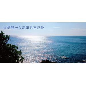保存水 備蓄水 10年保存水 1.8l 6本入...の詳細画像5