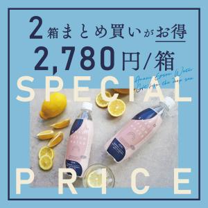 炭酸水 強炭酸水 500ml 24本 国産 無...の詳細画像1