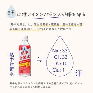 スポーツドリンク 熱中対策水 アセロラ 500...の詳細画像3