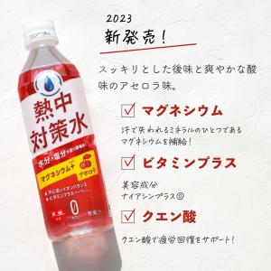 スポーツドリンク 500ml 24本 熱中症対...の詳細画像4