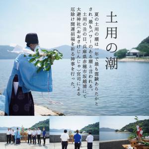 盛り塩 清めの塩 808g 国産 赤穂の天塩 ...の詳細画像2