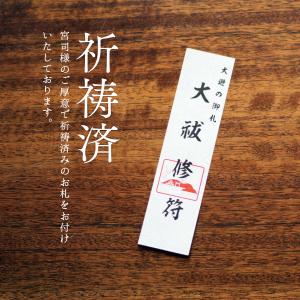 盛り塩 清めの塩 808g 国産 赤穂の天塩 ...の詳細画像4