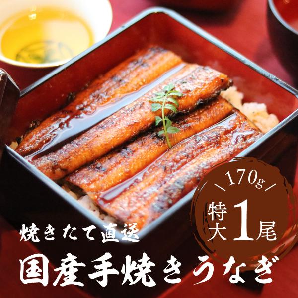 父の日 うなぎ 蒲焼き 国産 約170g×1尾 肉厚 ふっくら 手焼き 直送 ギフト ウナギ 鰻