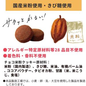 非常食 保存食 セット お試し チョコ米粉クッ...の詳細画像2