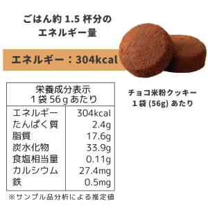 非常食 保存食 セット お試し チョコ米粉クッ...の詳細画像3