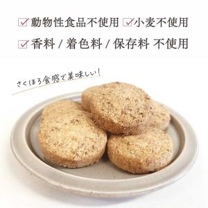 非常食 保存食 セット お試し チョコ米粉クッ...の詳細画像4