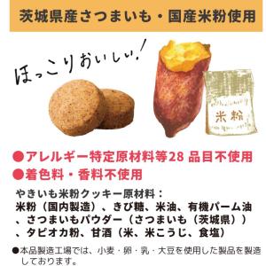 非常食 保存食 セット お試し チョコ米粉クッ...の詳細画像5