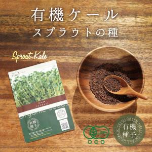 ケール スプラウト種 有機種子 ケール スプラ...の詳細画像1