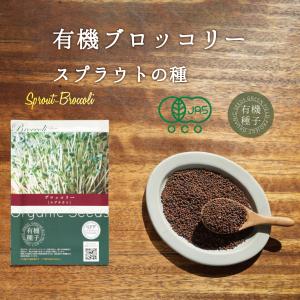 ブロッコリー スプラウト種 有機種子 ブロッコ...の詳細画像1