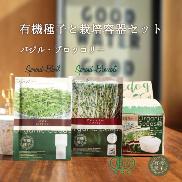 ブロッコリースプラウト種・バジルスプラウト種と栽培容器セット 有機種子 バジル ブロッコリー スプラ...
