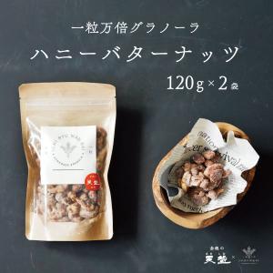 ミックスナッツ 120g 3種類 2袋 ハニーバター くるみ アーモンド カシューナッツ 赤穂の天塩 おつまみ お菓子 ナッツ 有塩 チャック付き袋｜akol2