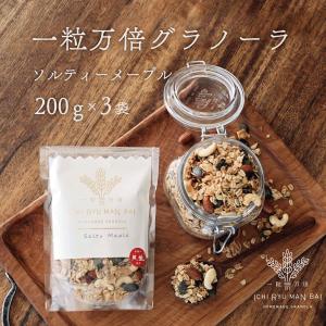 グラノーラ 200g 3袋 白砂糖不使用 香料不使用 オーツ麦 ソルティーメープル 赤穂の天塩 まとめ買い