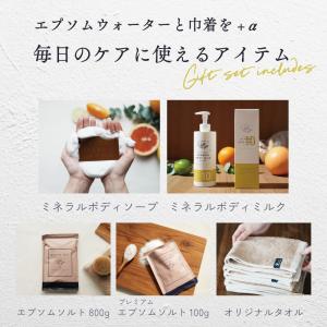 ギフト プレゼント メンテナンスセット セット...の詳細画像2