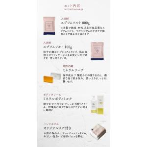 ギフト プレゼント メンテナンスセット セット...の詳細画像3