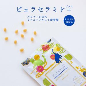 複合乳酸菌生産エキス エンテロ 30本 : sun lise - 通販 - Yahoo