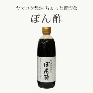 醤油 500ml 3本 菊醤 きくびしお ヤマロク醤油 お取り寄せ ギフト 贈答
