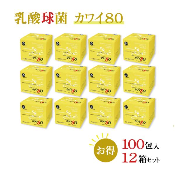 正規代理店 カワイ 乳酸菌 kawai カワイ 80 12箱 乳酸球菌カワイ株 80mg含有/包 1...