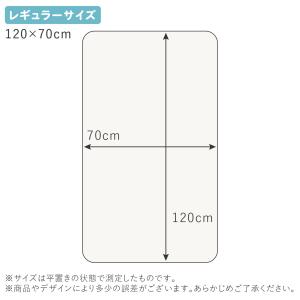 日本製 シーツ ピッタシーツ ブロード オフホワイトの詳細画像3