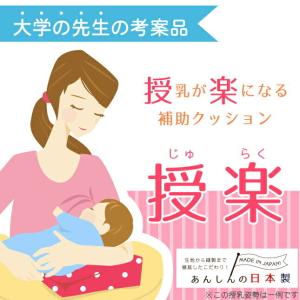 授乳を楽にする 授楽セット トーイズ 授乳クッ...の詳細画像3
