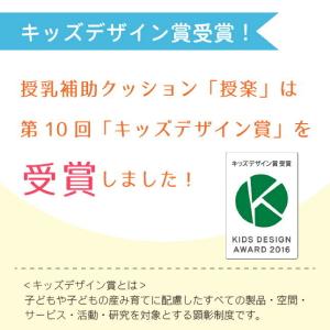 授乳を楽にする 授楽セット トーイズ 授乳クッ...の詳細画像5