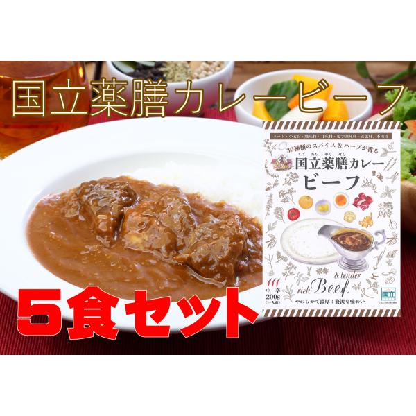 レトルト「 国立薬膳カレー ビーフ」 5食セット 中辛 ビーフ60g 牛肉 スパイス30種類