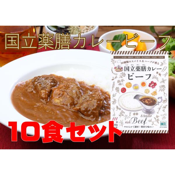 レトルト 「国立薬膳カレー ビーフ」 10食セット 中辛 ビーフ60g 牛肉 スパイス30種類