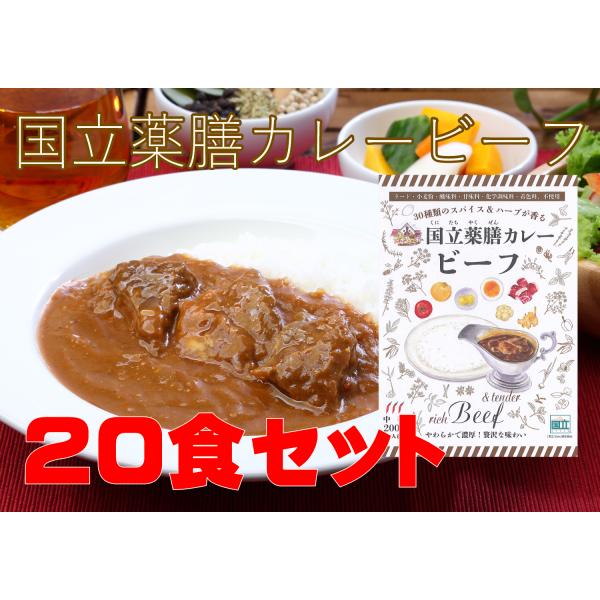 レトルト 「国立薬膳カレー ビーフ」 20食セット 中辛 ビーフ60g 牛肉 スパイス30種類
