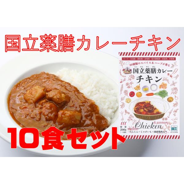 レトルト 「国立薬膳カレー チキン」10食セット 中辛 チキン 国産鶏肉 スパイス30種類