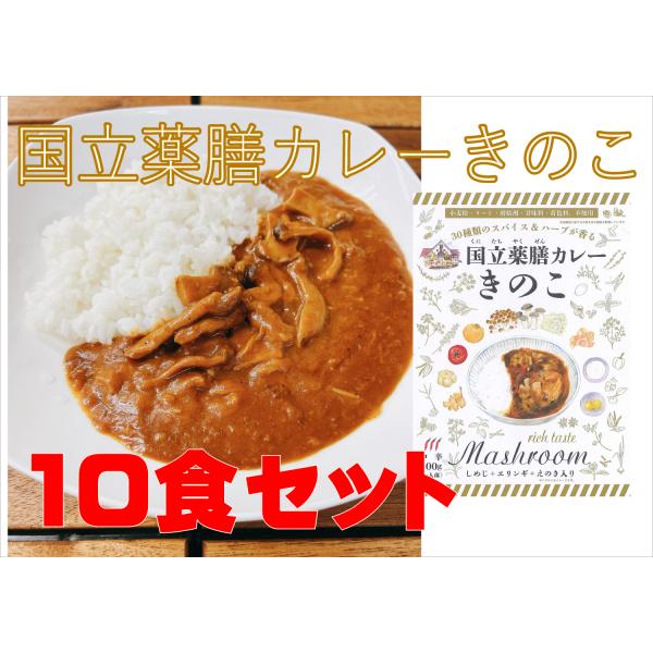 レトルト 「国立薬膳カレー きのこ」10食セット きのこ 中辛 スパイス30種類