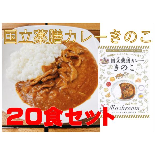 レトルト 「国立薬膳カレー きのこ」 20食セット きのこ 中辛 スパイス30種類