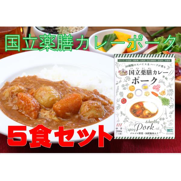 レトルト 「国立薬膳カレー ポーク」 5食セット 国産豚肉 中辛  30種スパイス使用