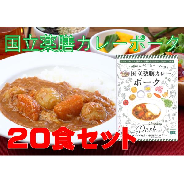レトルト 「国立薬膳カレー ポーク」20食セット 国産豚肉 中辛 30種スパイス