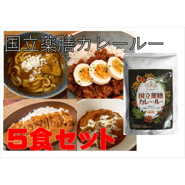 カレー 「国立薬膳カレー ルー」 5食セット 液状ルー 中辛 スパイス30種類　