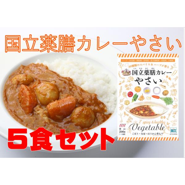 レトルト 「国立薬膳カレー やさい」 5食セット 辛口 野菜 ベジタブル スパイス30種類