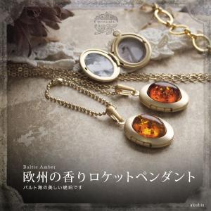 天然琥珀 ゴールドネックレス 5ツ星 50cmチェーン付 ゆうパケット gold