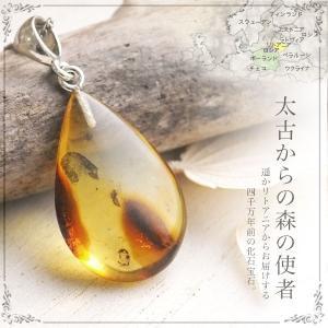 ネックレス 琥珀 送料無料 天然石 4ツ星ランク qe1319 ロイヤル