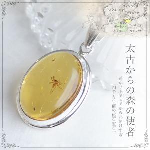 天然琥珀 虫入り琥珀 こはくルース インセクトアンバー パワーストーン