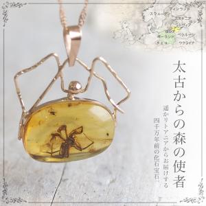 虫入り琥珀ロングネックレス(75cm) 虫入り琥珀ネックレス 送料無料 シルバー Silver925 コレクション